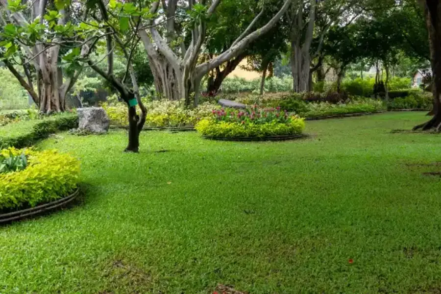 Benefits Of Aeration And Seeding In Lawn Maintenance Canterbury Village, Concord, CA 94521