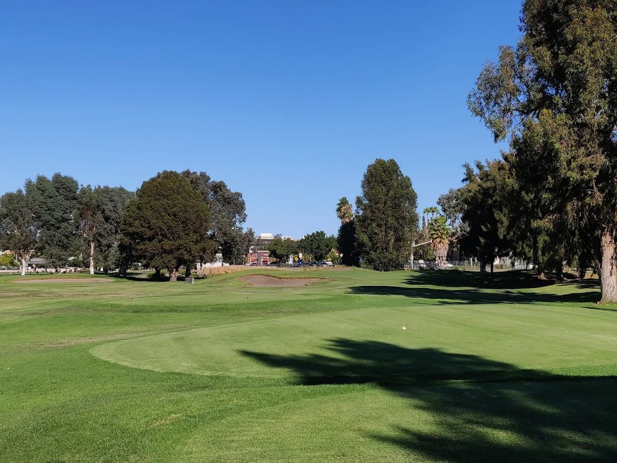 A lush green golf course with a player getting ready to putt at Buchanan Fields Golf Course, Shadelands, Concord, CA 94519.