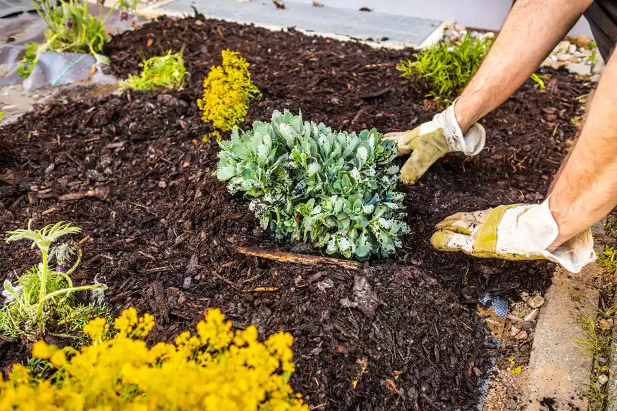 Experienced Mulch Installation Concord, CA