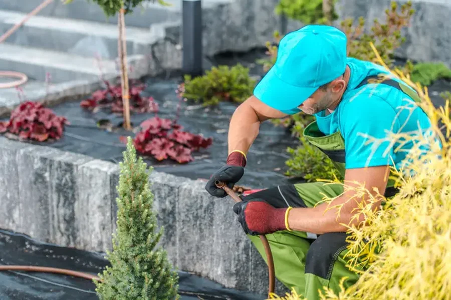 Expert Landscape Installation Concord, CA