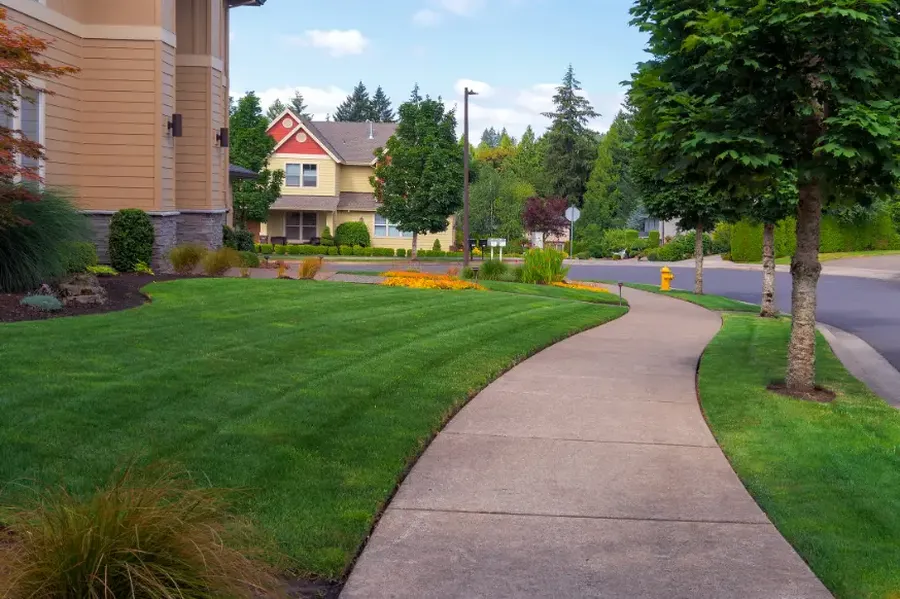 How Professional Lawn Maintenance Saves Time And Effort in Concord, CA