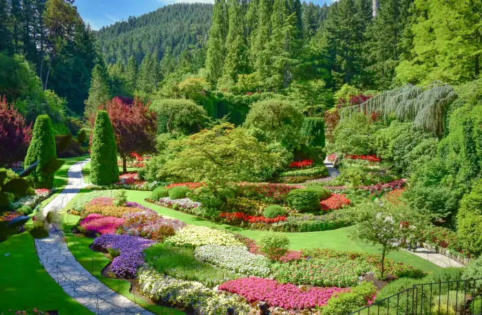 Landscape Designer in Concord, CA