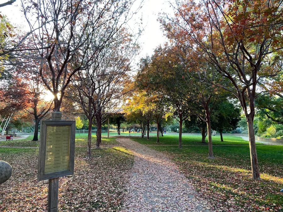 A botanical garden with diverse plants at Markham Nature Park and Arboretum, Canterbury Village, Concord, CA 94521.