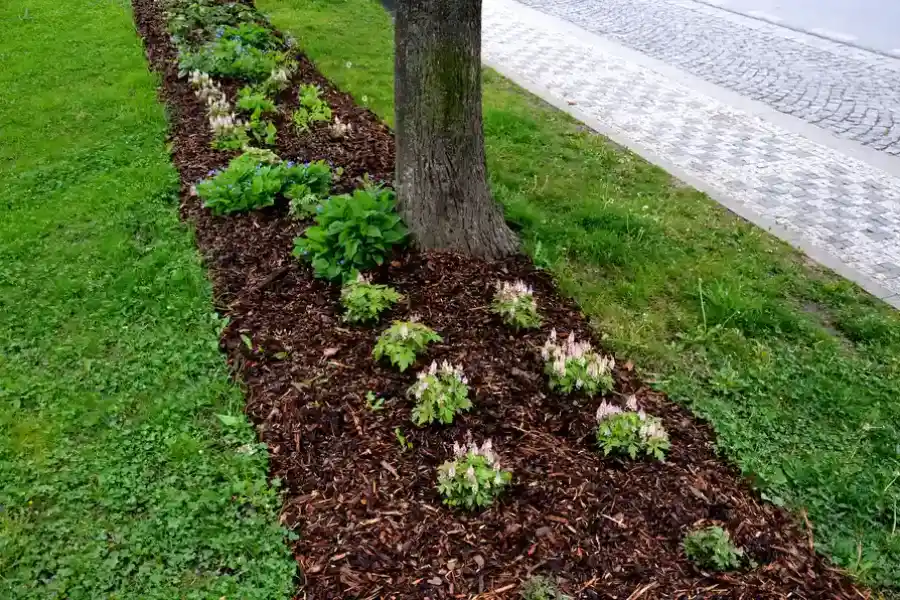 Premium Mulch Installation Concord, CA