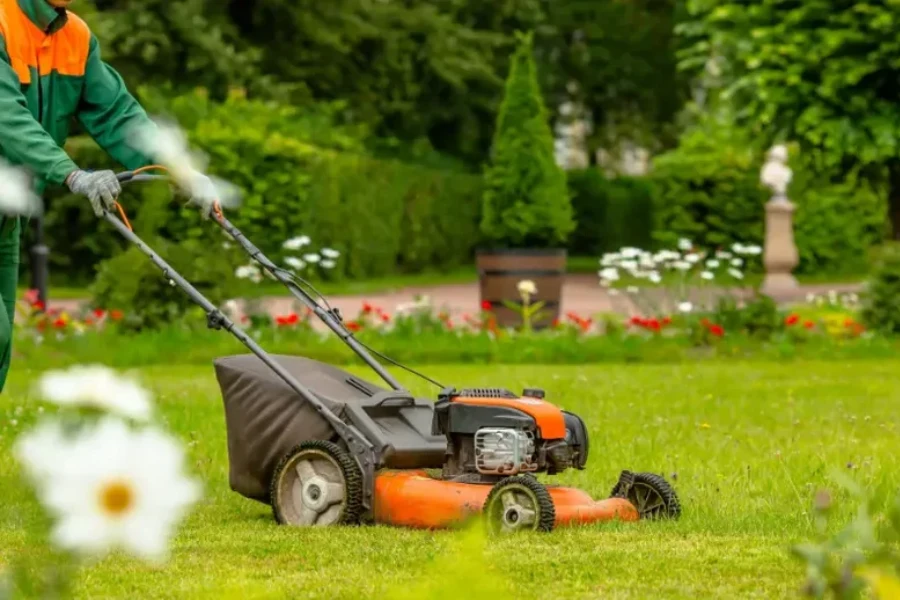 Professional Lawn Maintenance Concord, CA