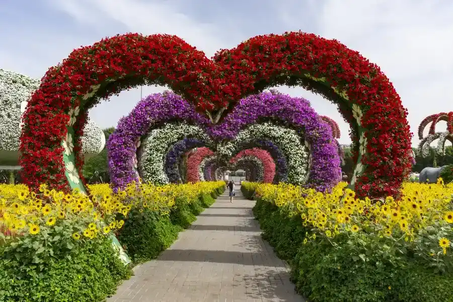 Quality Landscape Installation Concord, CA