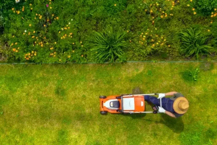 Reliable Lawn Maintenance Concord, CA