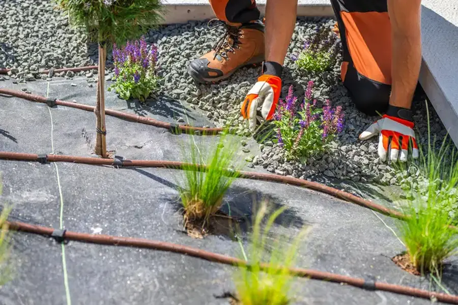 Superior Landscape Installation Concord, CA