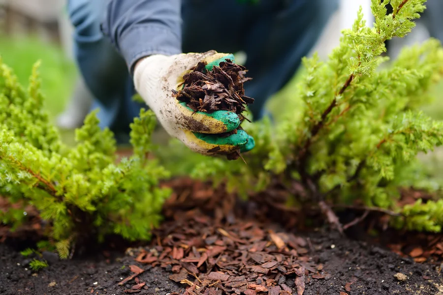 The Benefits Of Mulch Installation For Weed Prevention in Concord, CA