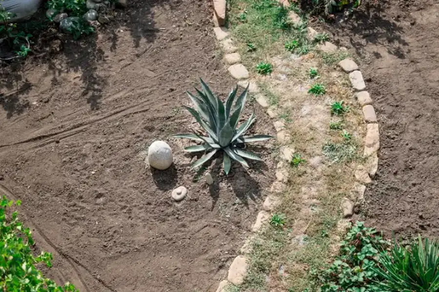 Understanding Soil Preparation For Landscape Installation Clayton Valley Highlands, Concord, CA 94521